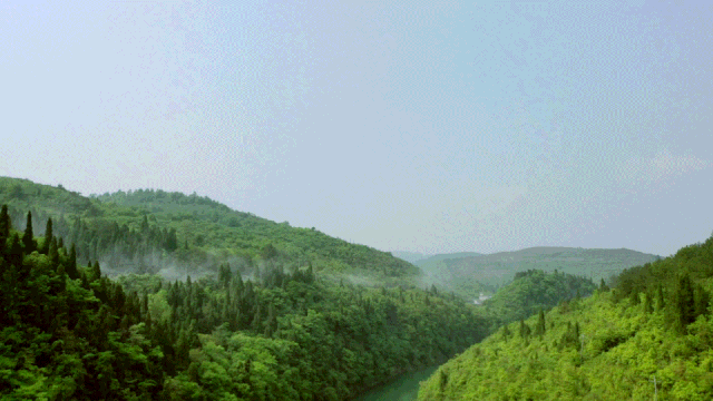 微信圖片_20220530142556.gif