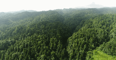 微信圖片_20220530142609.gif